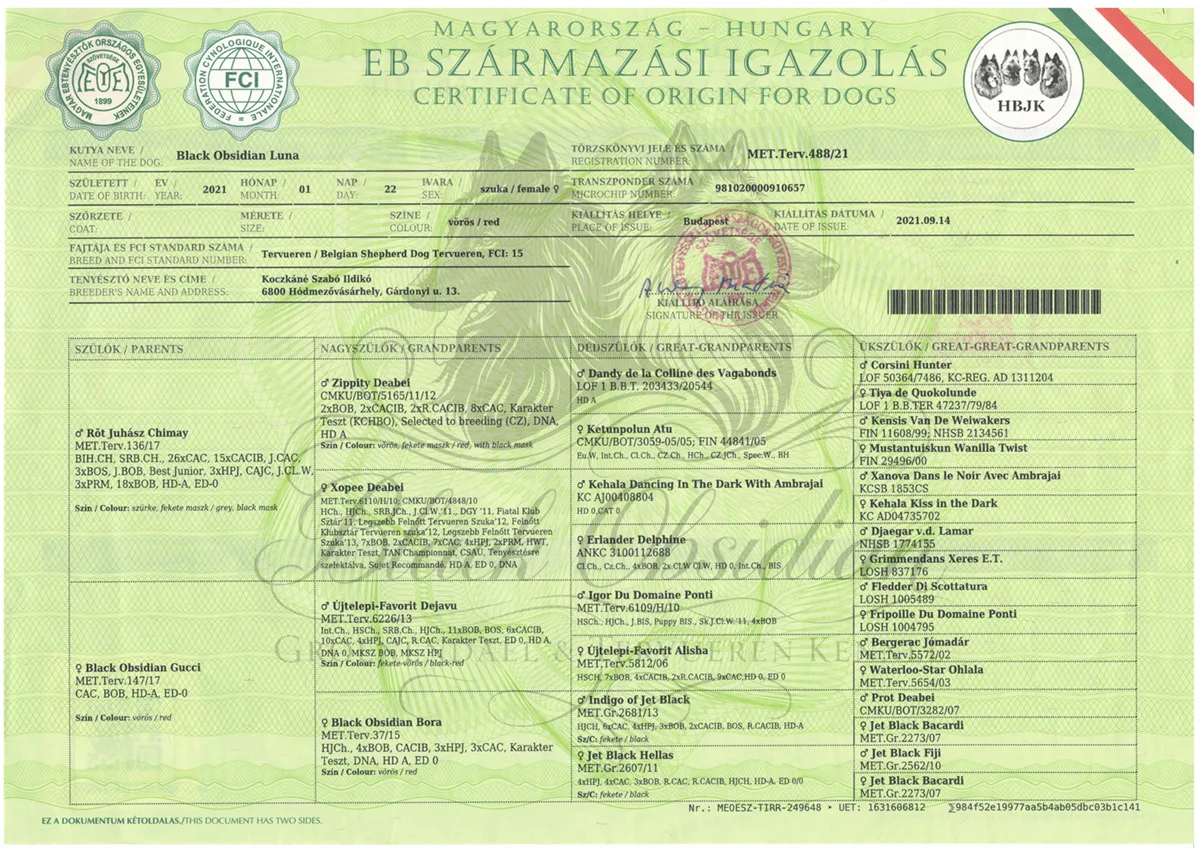 Black Obsidian Luna – kép 3