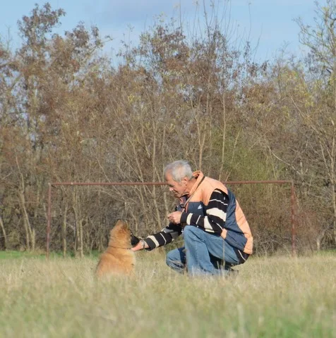 Glimbi's Chanel Belgiador V. Jayla – 17. kép