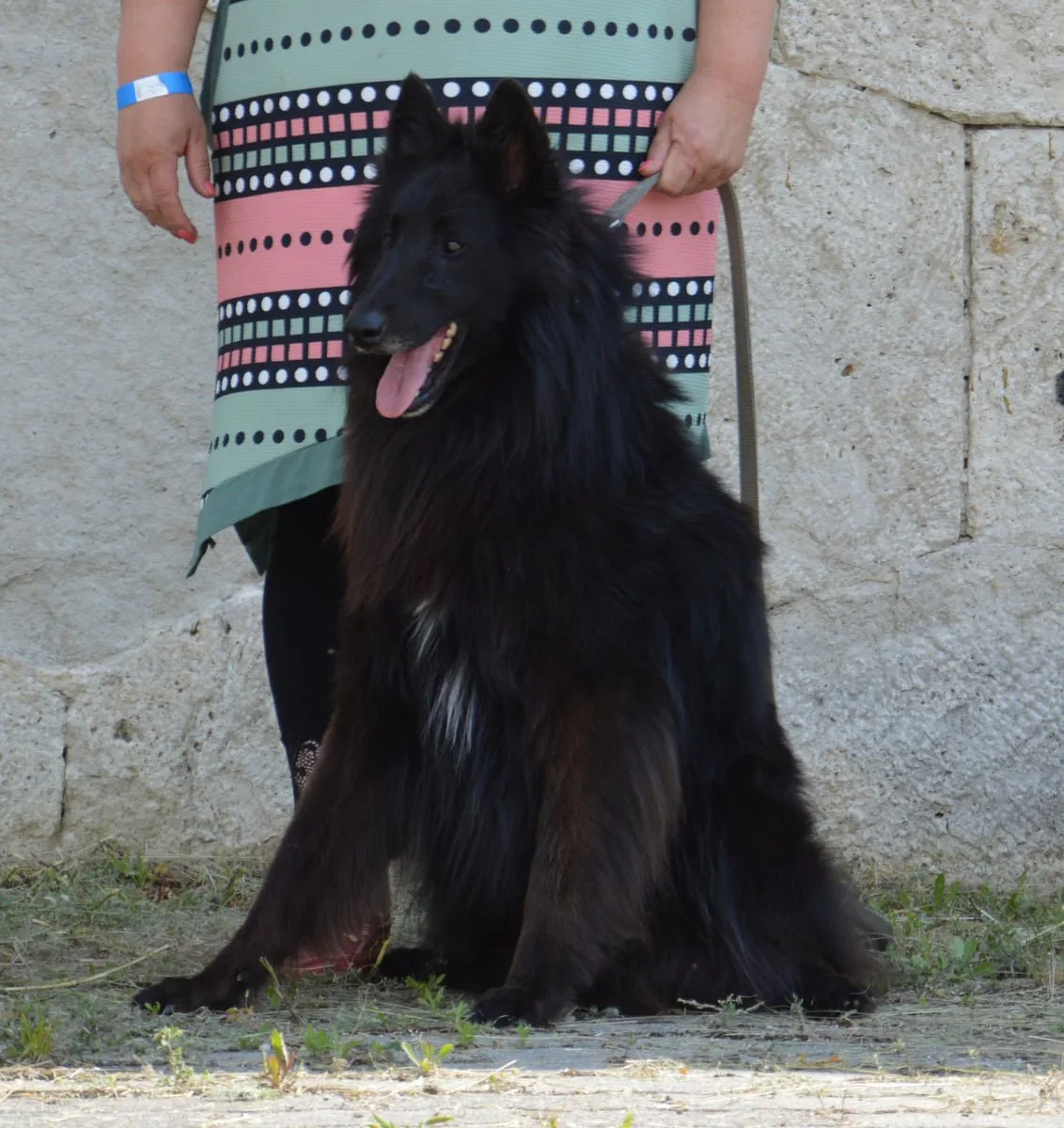 Black Obsidian Hayden – 14. kép