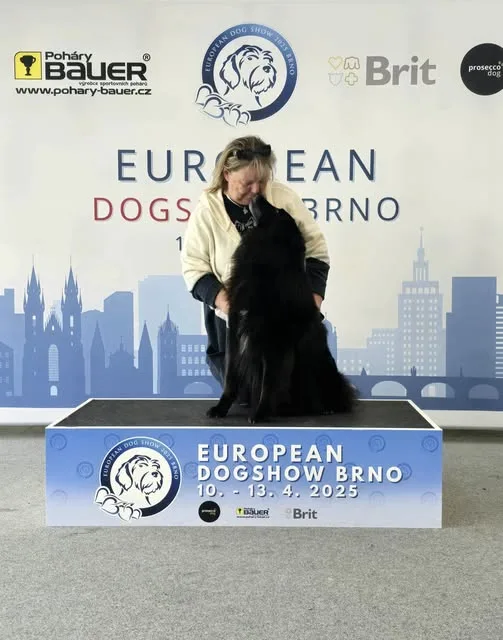 Black Obsidian Hayden – 24. kép