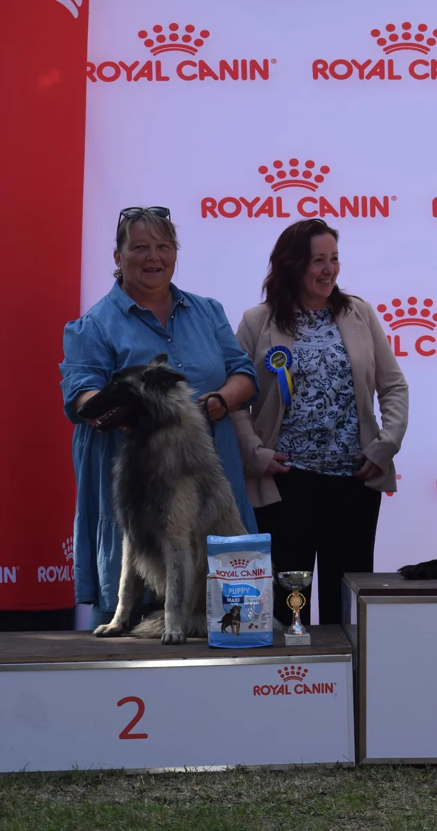 Glimbi's Jetro V. Dee Dee – 11. kép