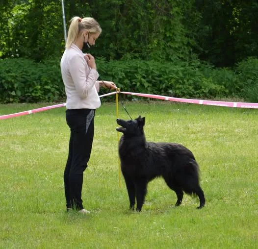 Black Obsidian Khendra – 5. kép