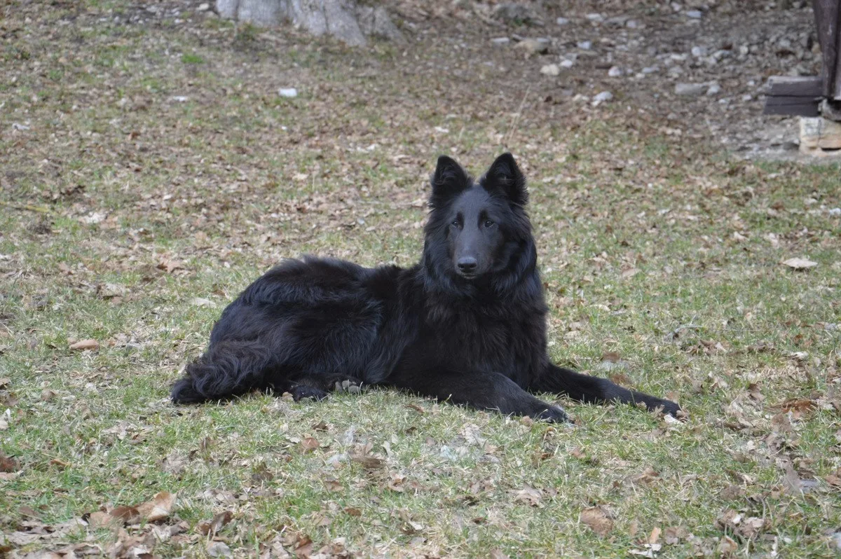 Black Obsidian Khendra – 16. kép
