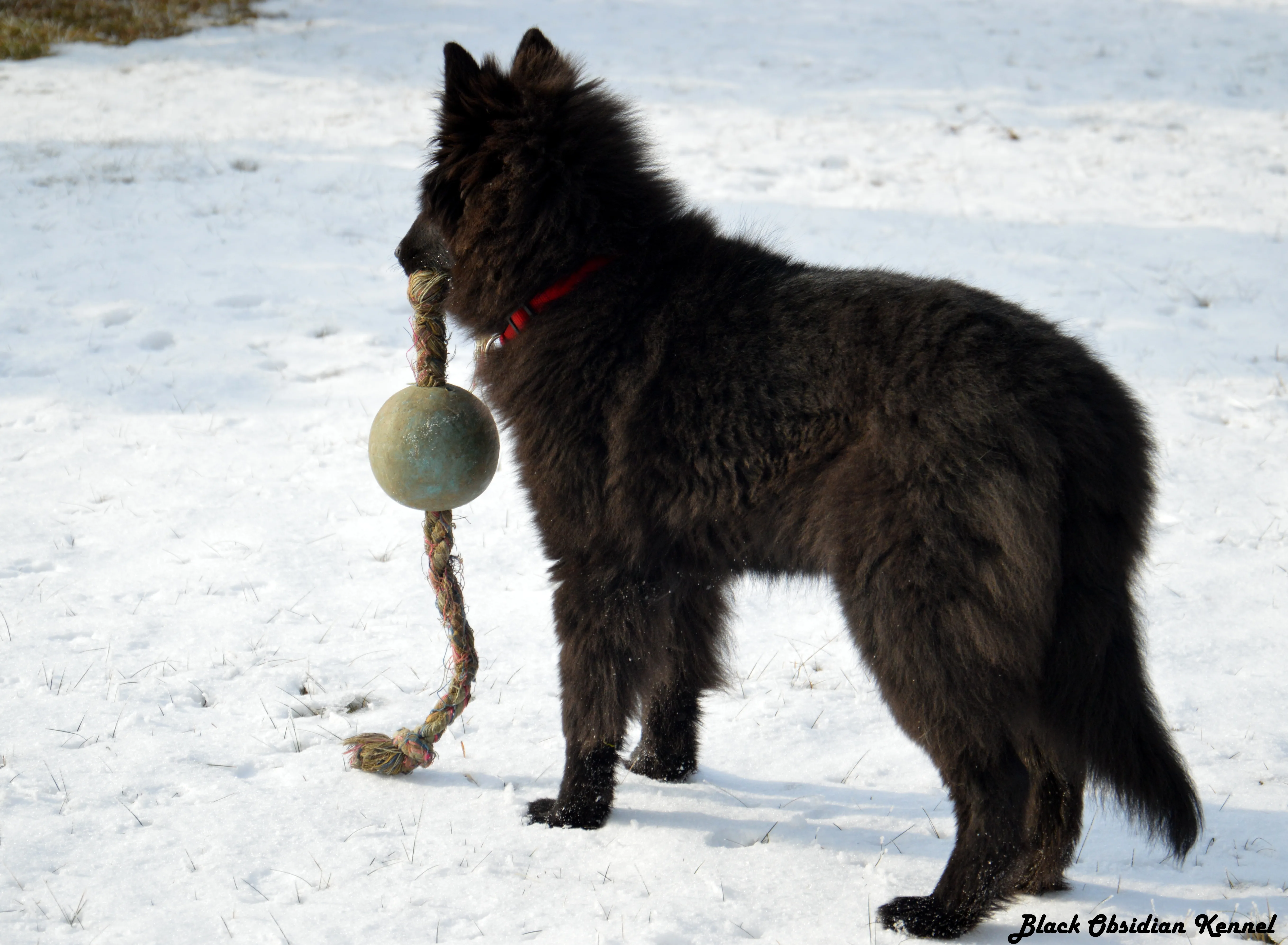 Eternity's Nike – 4. kép