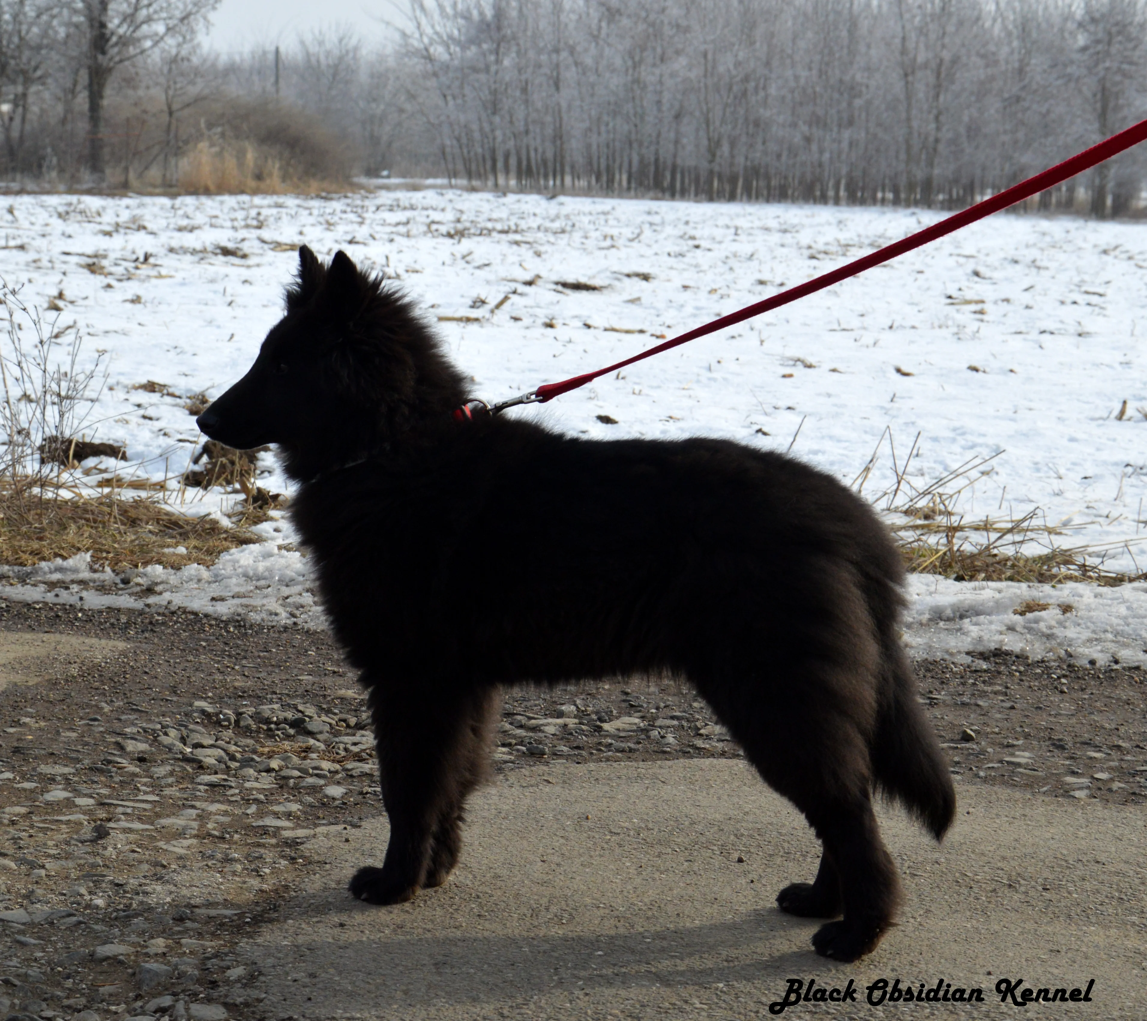 Eternity's Nike – 5. kép