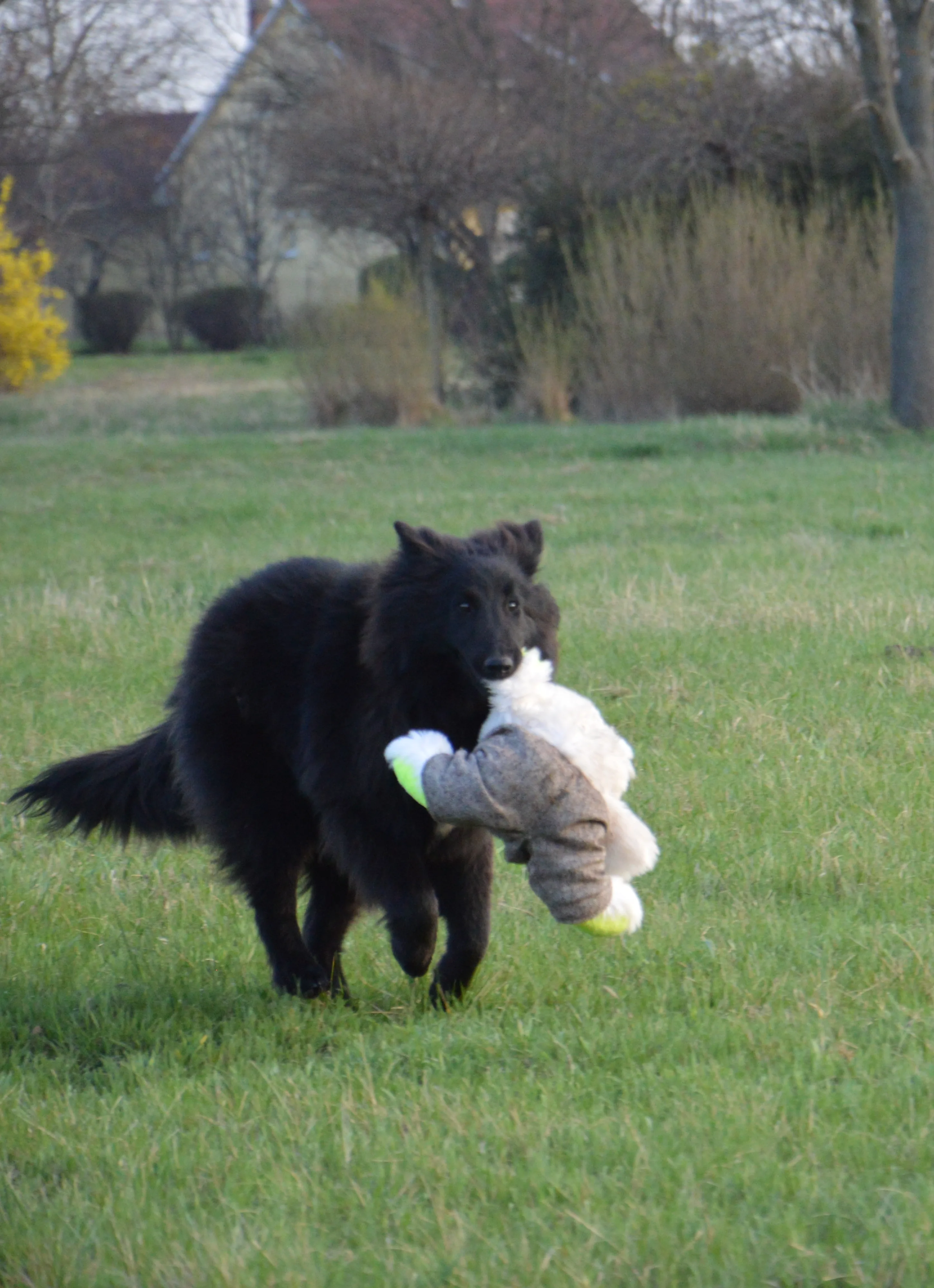 Eternity's Nike – 7. kép