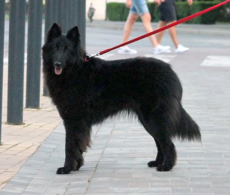 Eternity's Nike – 8. kép