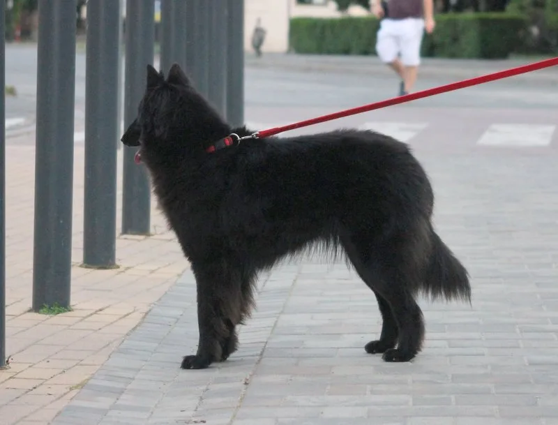 Eternity's Nike – 9. kép