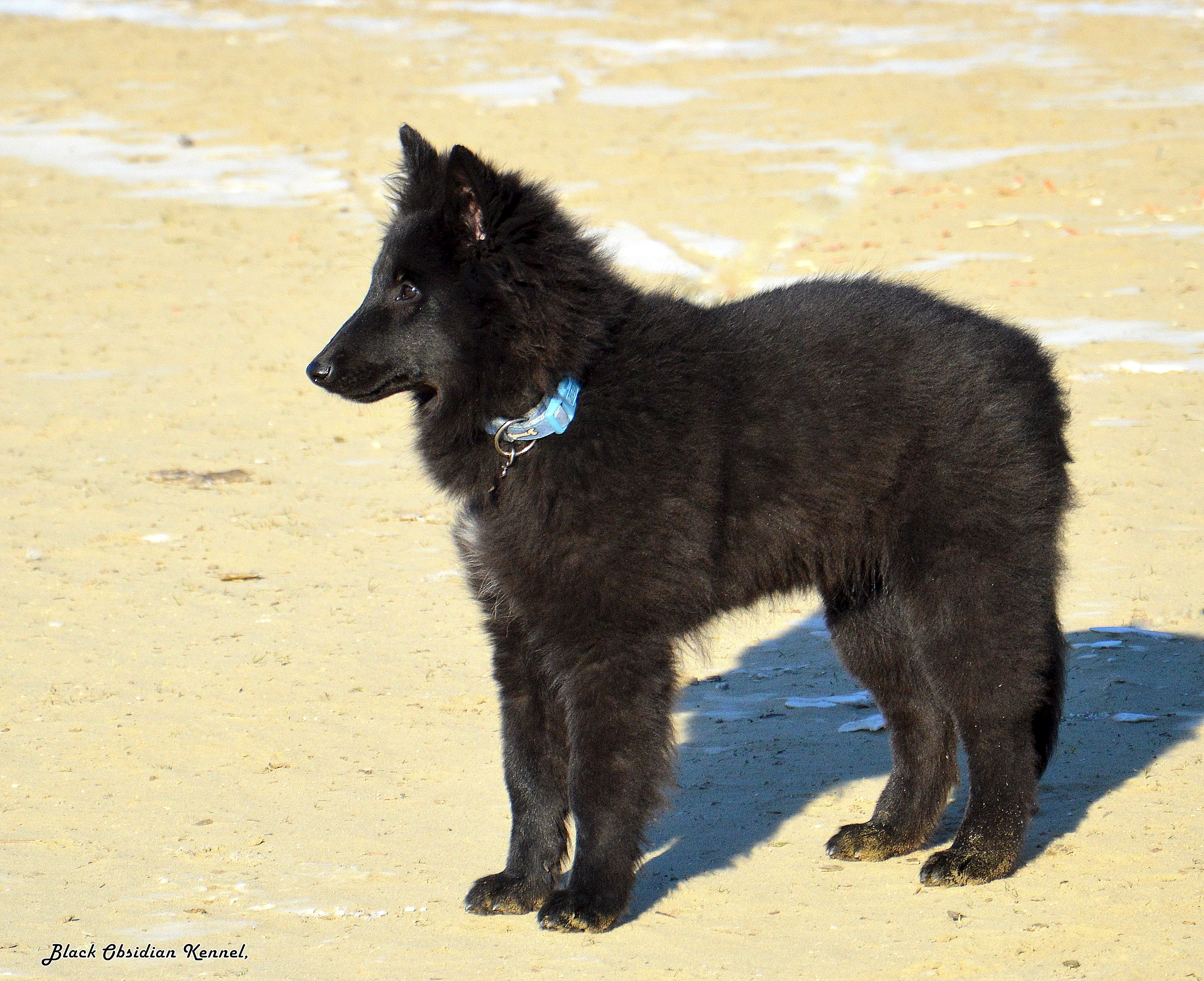 Eternity's Nike – 13. kép