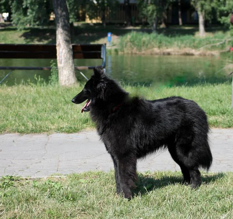 Eternity's Nike – 16. kép