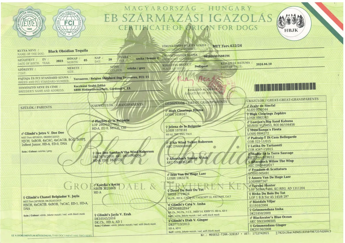 Black Obsidian Tequila – kép 3