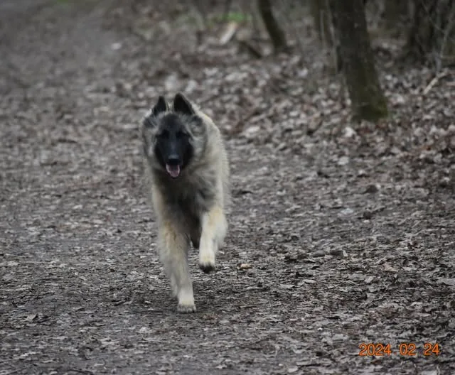 Black Obsidian Tequila – 15. kép