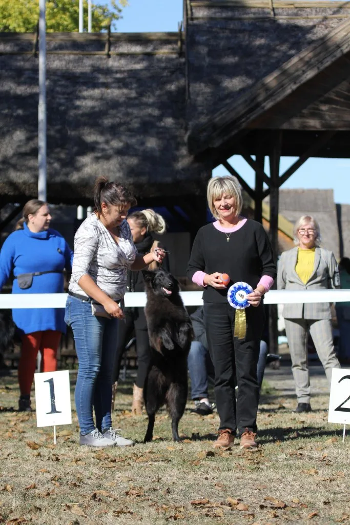 Faith de Bruine Buck 'Zafír' – 4. kép