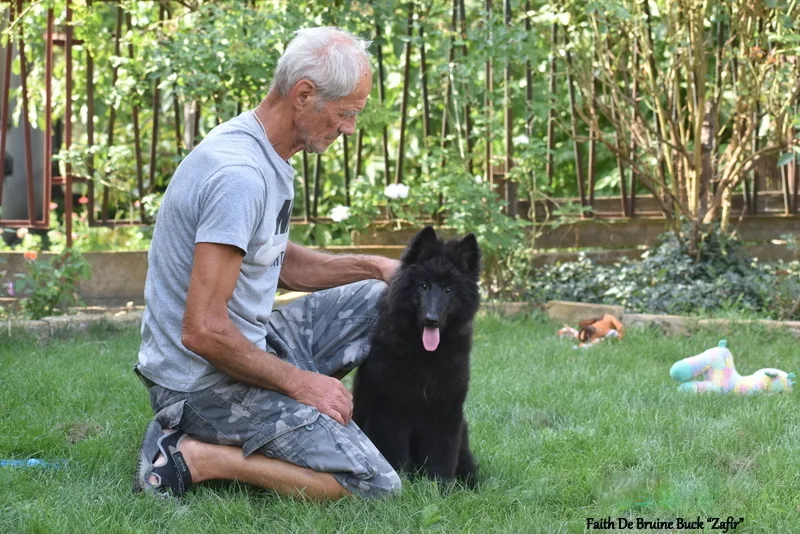 Faith de Bruine Buck 'Zafír' – 18. kép