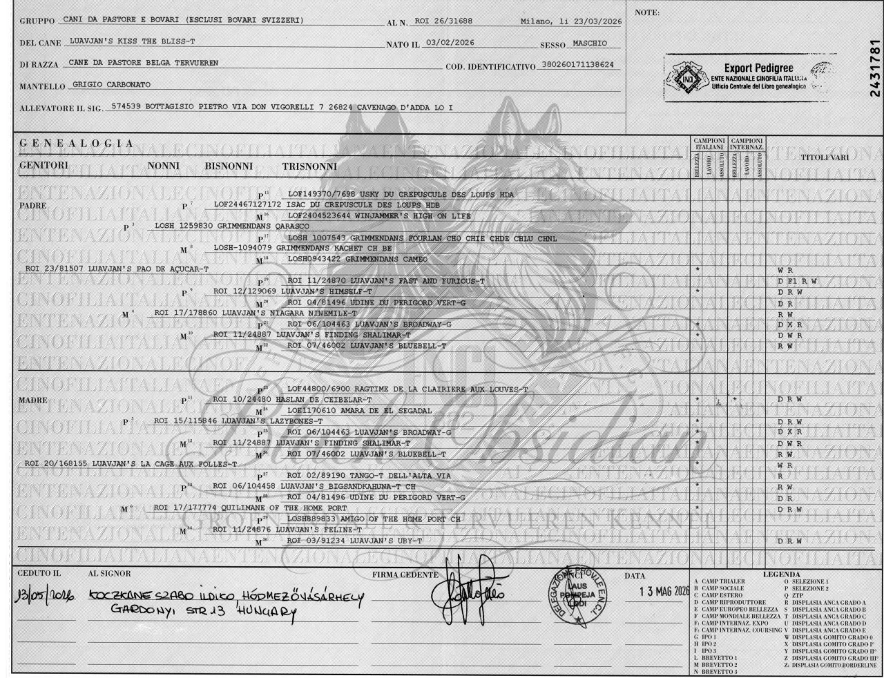 Luavjan's Kiss the Bliss 'Zeusz' – Pedigree