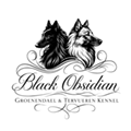 Black Obsidian Groenendael & Tervueren kennel logó