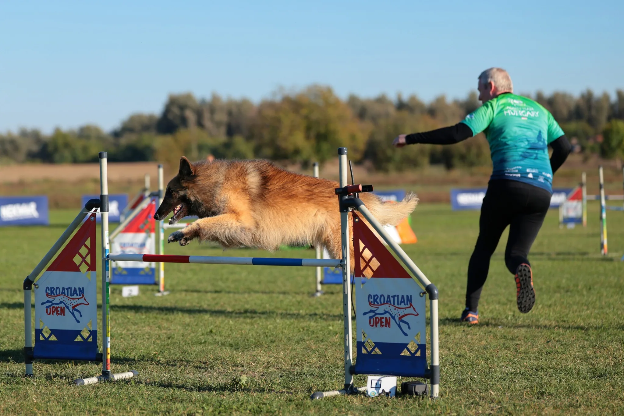 2025. évi összegzés kép 2