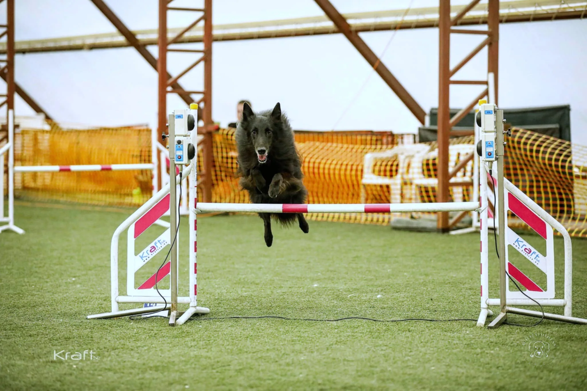 2025. évi összegzés