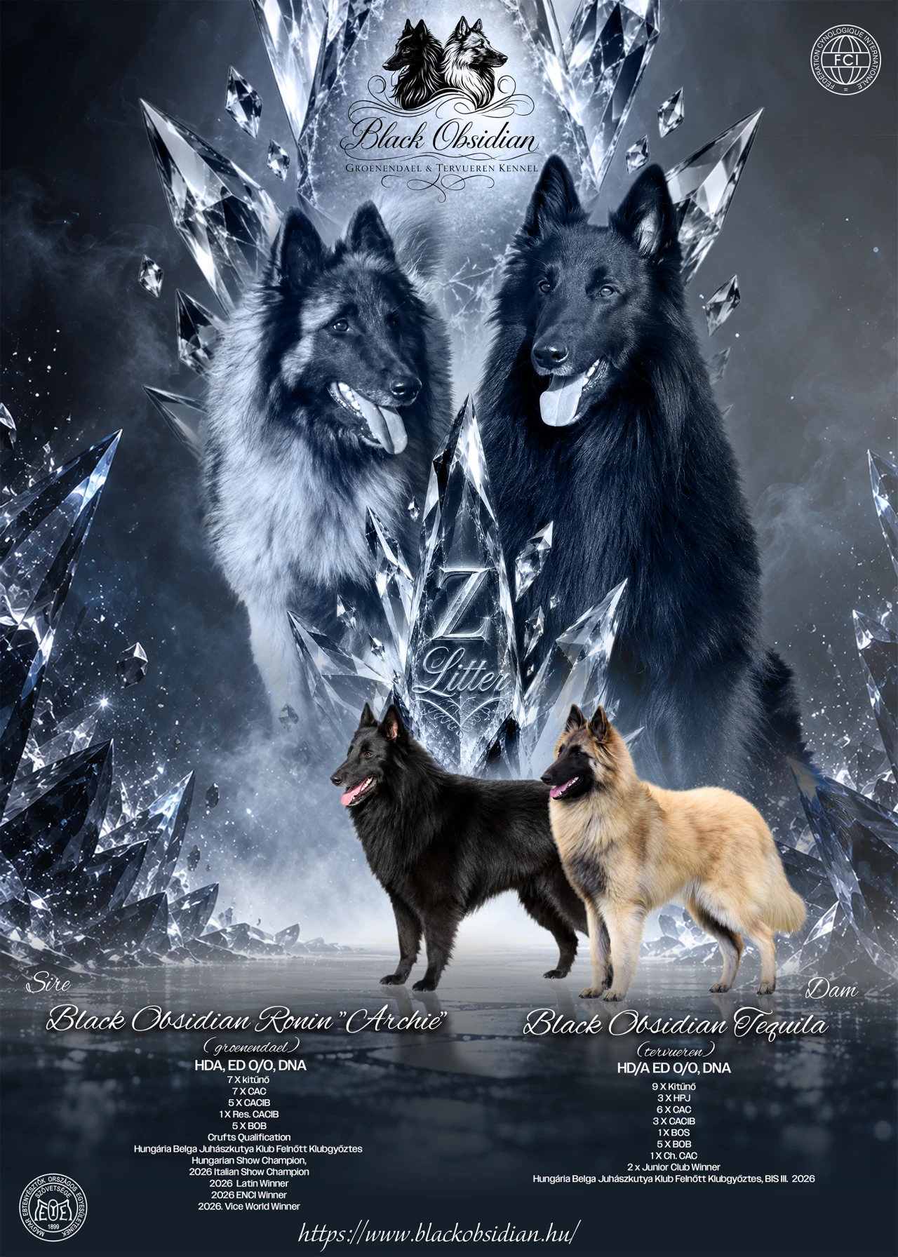November első napjaiban érkezik a Black Obsidian „Z” alom!