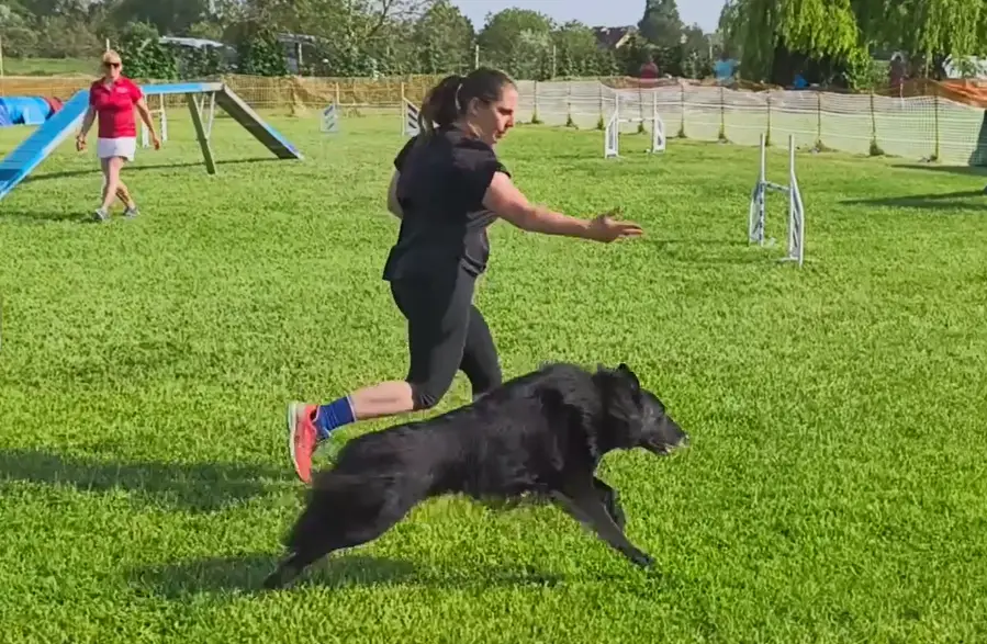 Black Obsidian Maddox kép 1