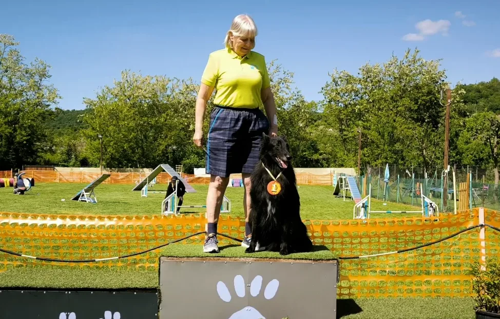 Black Obsidian Ray bemutatkozása az agility versenypályán