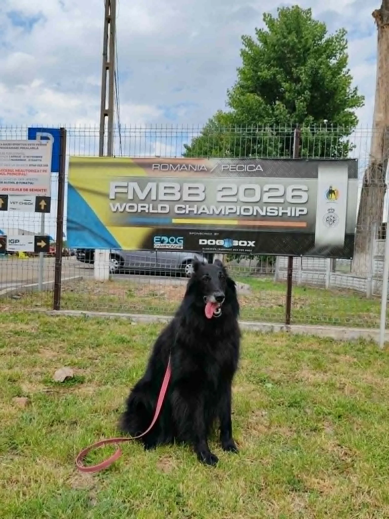 Megkezdődött az FMBB 2026 évi versenye  kép 14