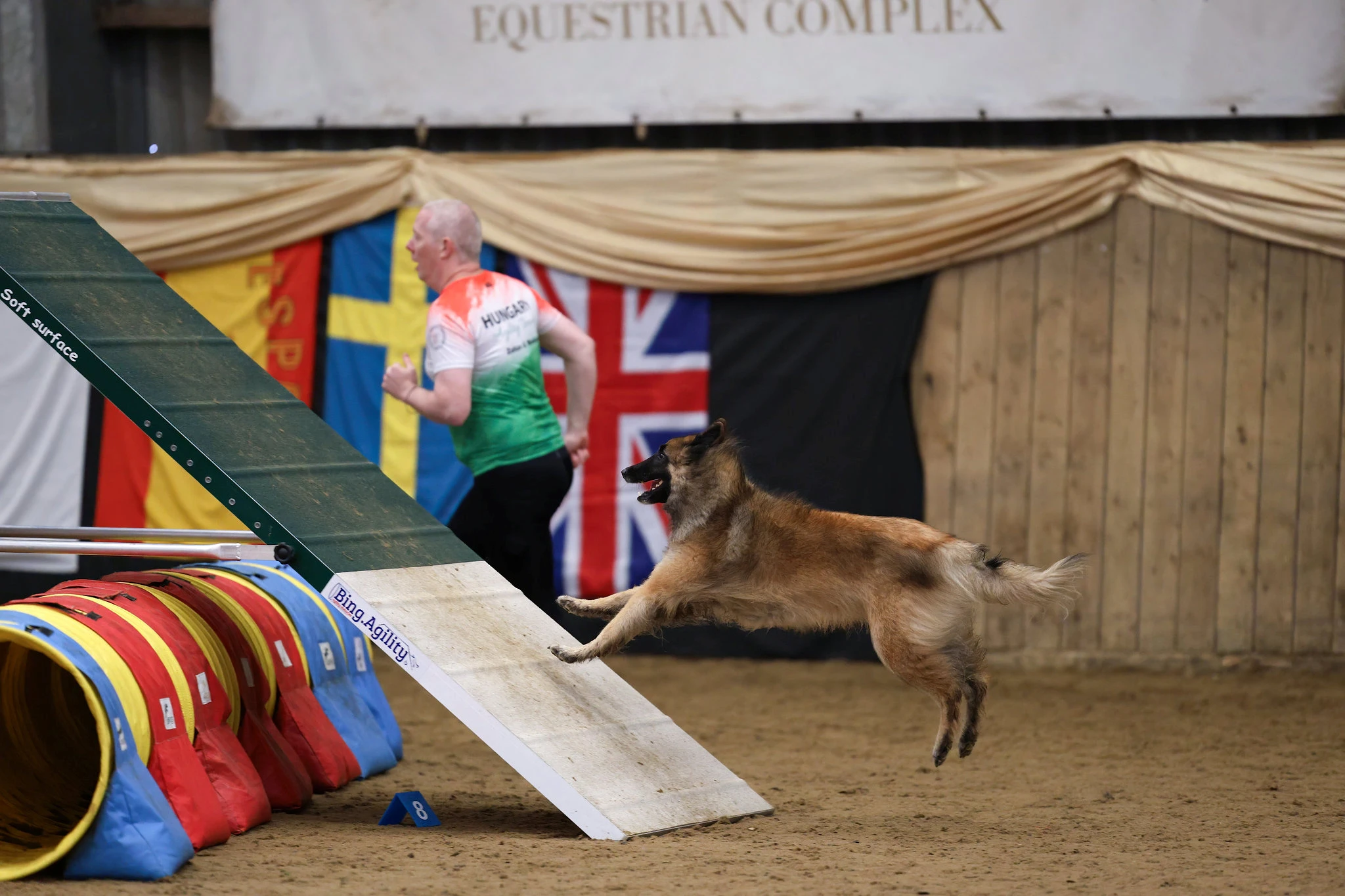 IMCA 2026 - Nemzetközi Agility Bajnokság | Black Obsidian Lex 'Nolan' kép 3