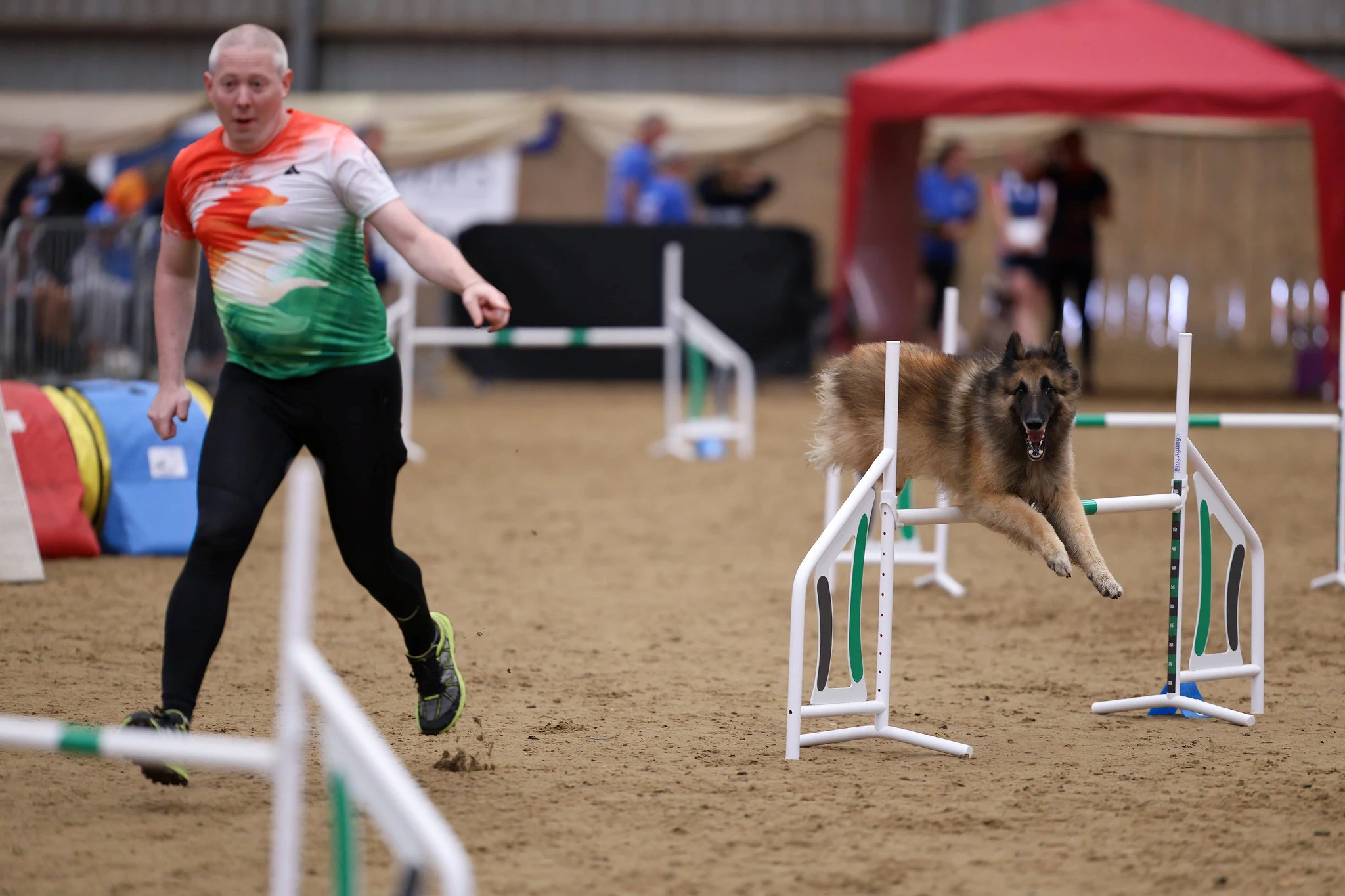 IMCA 2026 - Nemzetközi Agility Bajnokság | Black Obsidian Lex 'Nolan' kép 4