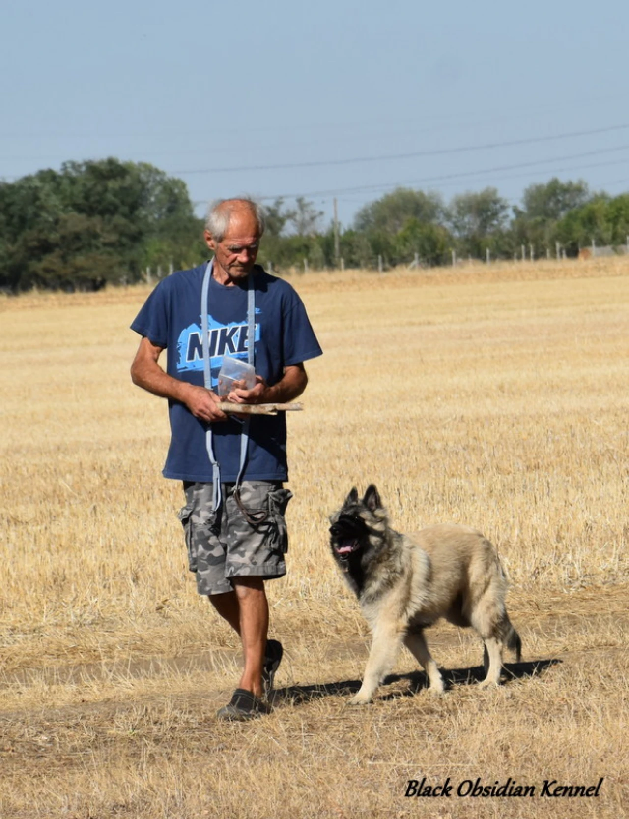Vasárnap reggel a határban... kép 26