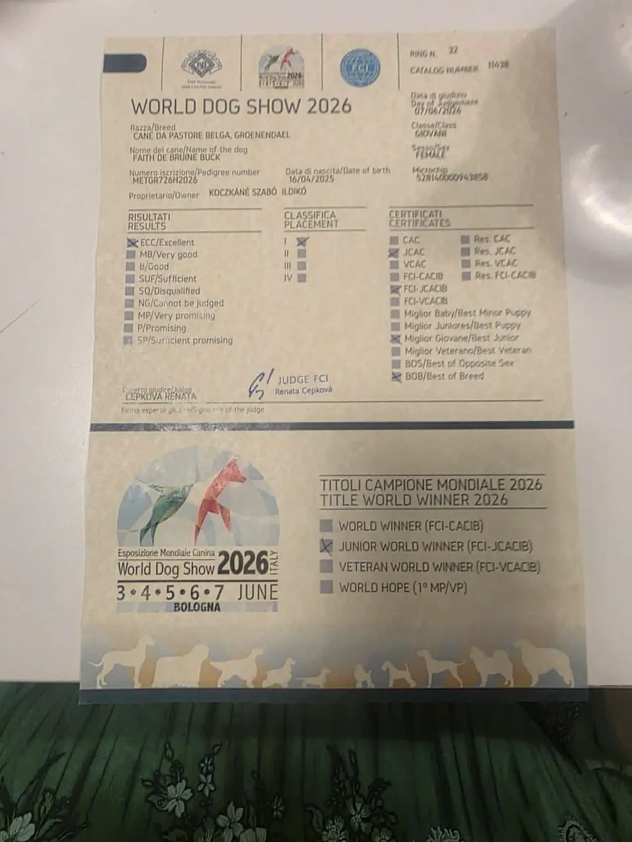 Zafir az Olaszországi World Dog Show-n  kép 3